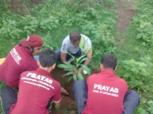 Tree-plantation-6-300×225