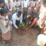 Tree Plantation At Anjaneri
